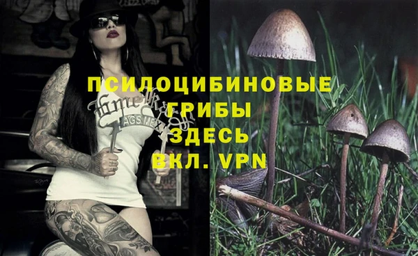 индика Алзамай