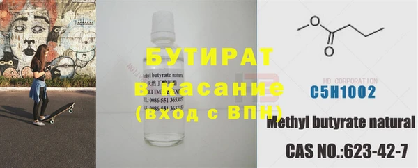 индика Алзамай