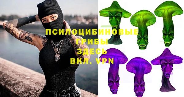 индика Алзамай