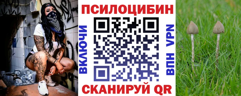 Галлюциногенные грибы Cubensis  магазин продажи наркотиков  Орлов 